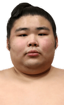 Portrait of the sumo wrestler