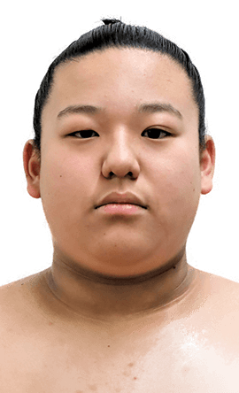 Portrait of the sumo wrestler