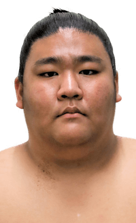 Portrait of the sumo wrestler