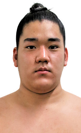 Portrait of the sumo wrestler