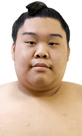 Portrait of the sumo wrestler