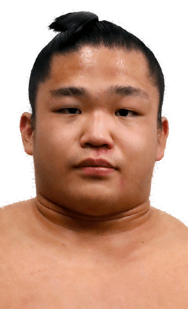 Portrait of the sumo wrestler