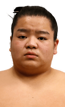 Portrait of the sumo wrestler