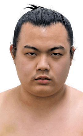 Portrait of the sumo wrestler