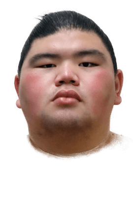 Portrait of the sumo wrestler