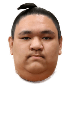 Portrait of the sumo wrestler