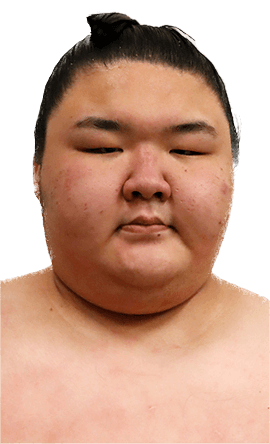 Portrait of the sumo wrestler