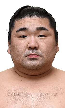 Portrait of the sumo wrestler