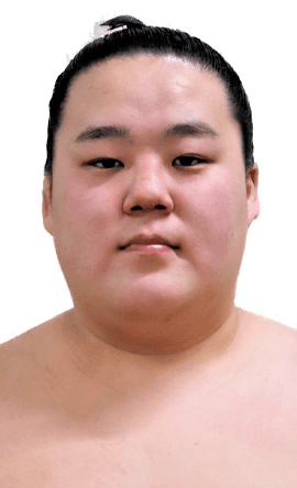 Portrait of the sumo wrestler