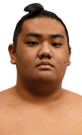 Portrait of the sumo wrestler