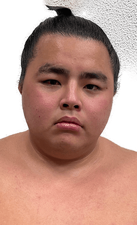 Portrait of the sumo wrestler