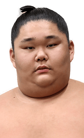 Portrait of the sumo wrestler