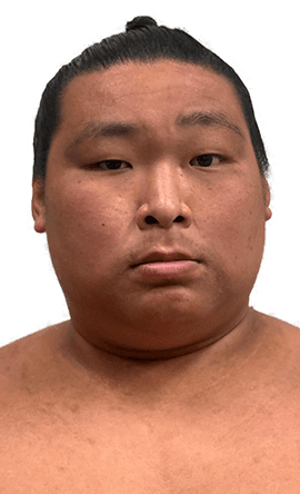 Portrait of the sumo wrestler