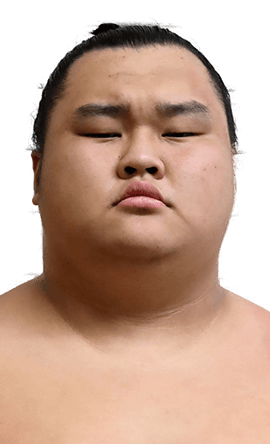 Portrait of the sumo wrestler