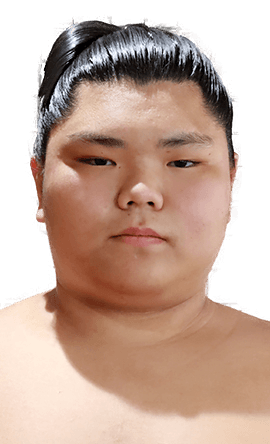 Portrait of the sumo wrestler