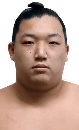 Portrait of the sumo wrestler