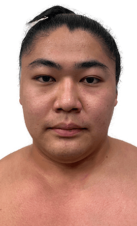 Portrait of the sumo wrestler