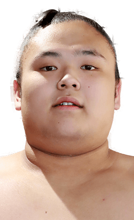 Portrait of the sumo wrestler