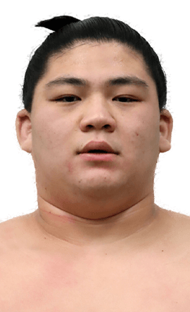 Portrait of the sumo wrestler