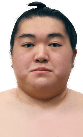 Portrait of the sumo wrestler