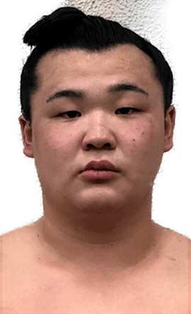 Portrait of the sumo wrestler