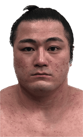 Portrait of the sumo wrestler