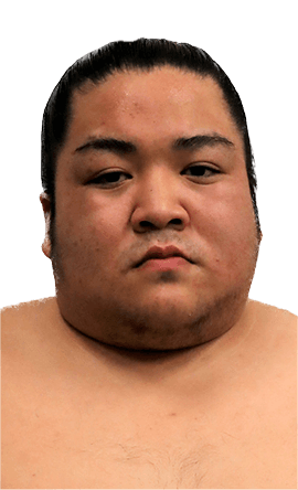 Portrait of the sumo wrestler