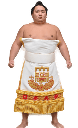 Portrait of the sumo wrestler