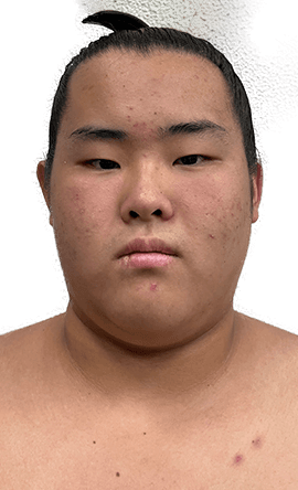 Portrait of the sumo wrestler