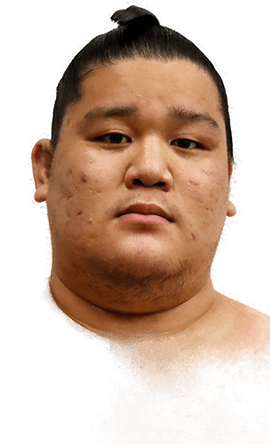 Portrait of the sumo wrestler