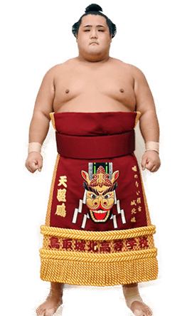 Portrait of the sumo wrestler