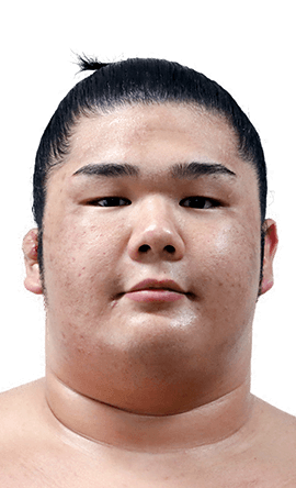 Portrait of the sumo wrestler