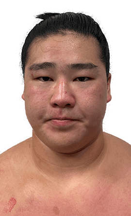 Portrait of the sumo wrestler