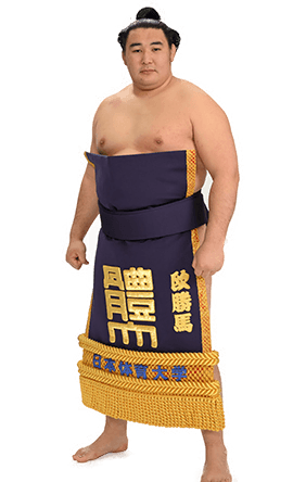 Portrait of the sumo wrestler