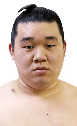 Portrait of the sumo wrestler