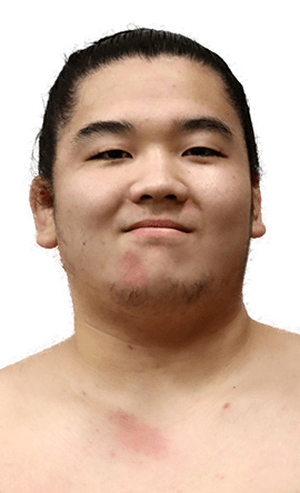 Portrait of the sumo wrestler