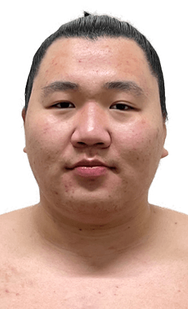 Portrait of the sumo wrestler