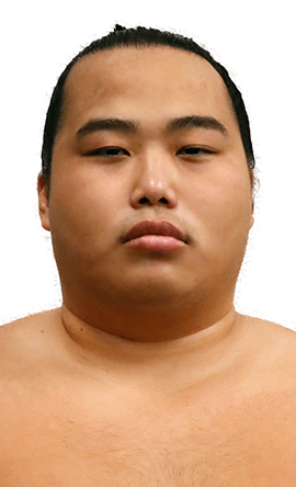 Portrait of the sumo wrestler