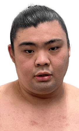 Portrait of the sumo wrestler