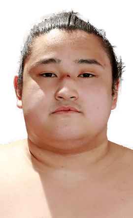 Portrait of the sumo wrestler