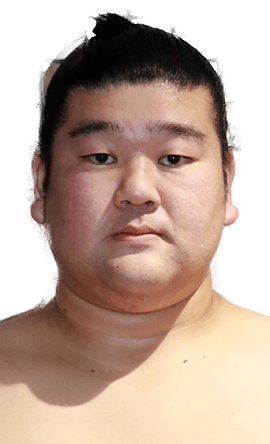 Portrait of the sumo wrestler