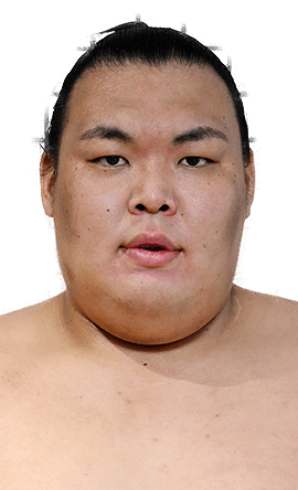 Portrait of the sumo wrestler