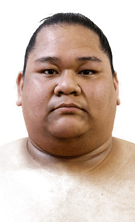 Portrait of the sumo wrestler