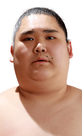 Portrait of the sumo wrestler