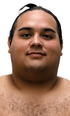 Portrait of the sumo wrestler