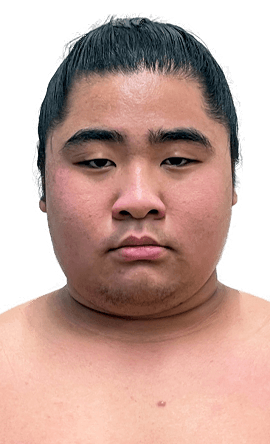 Portrait of the sumo wrestler