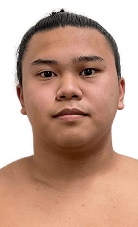 Portrait of the sumo wrestler