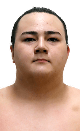 Portrait of the sumo wrestler