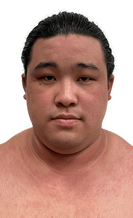 Portrait of the sumo wrestler