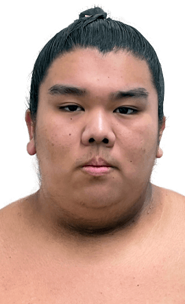 Portrait of the sumo wrestler